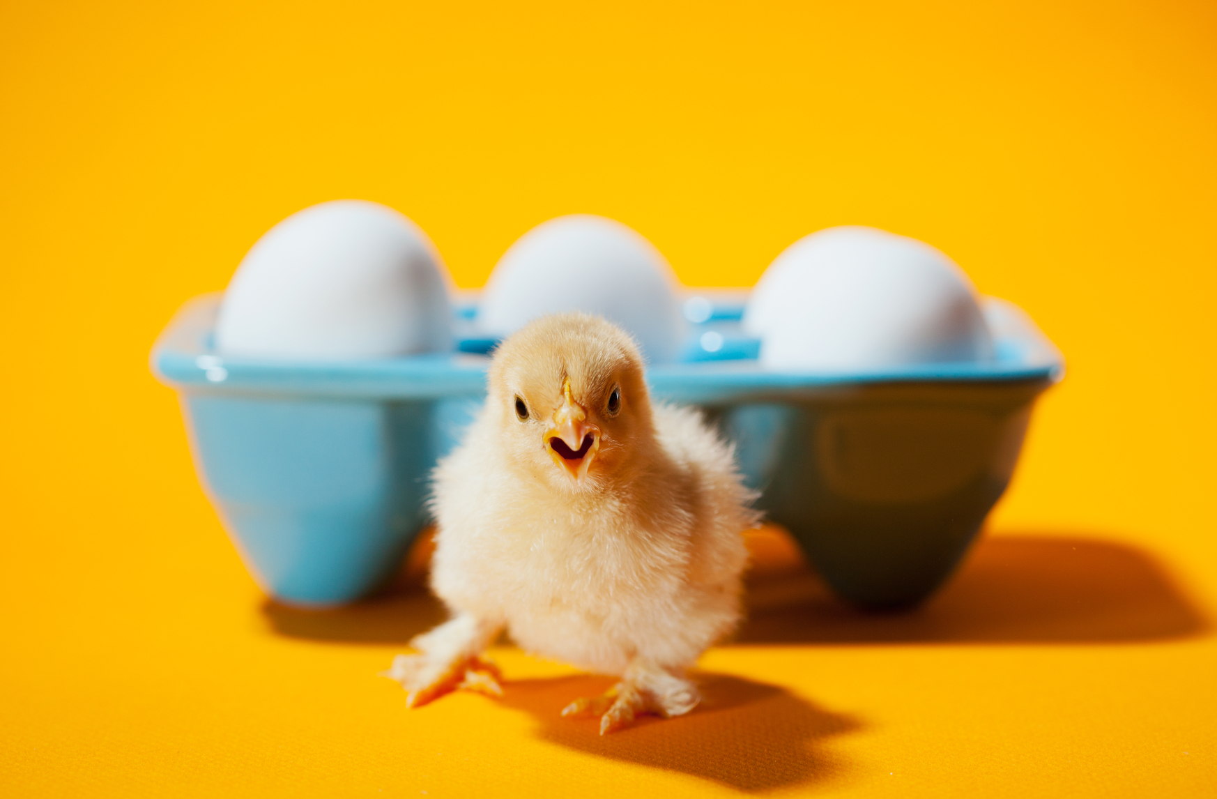 Which comes first - Content or Design?