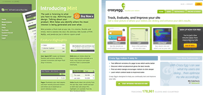 Screenshot of the mint and crazy egg website